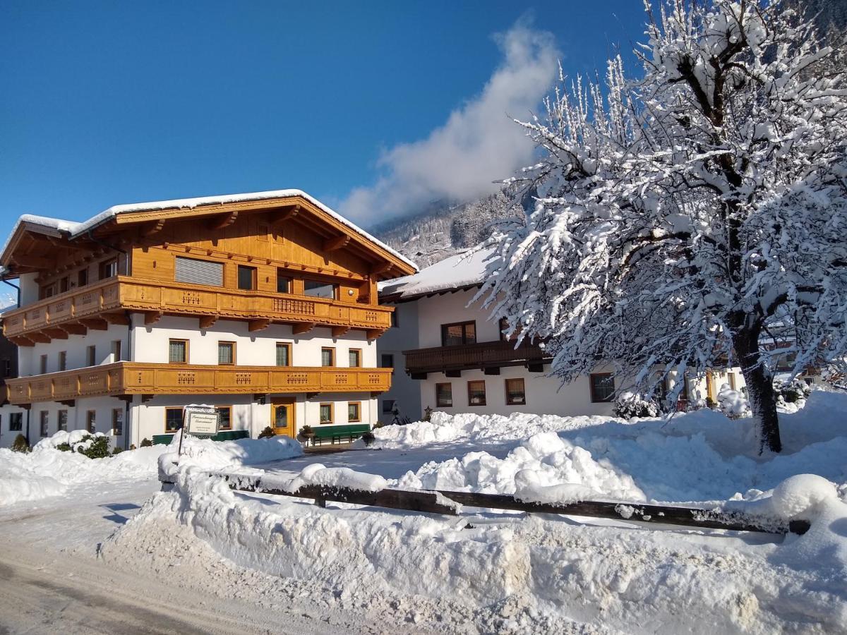 Haus Traudl Daire Mayrhofen Dış mekan fotoğraf